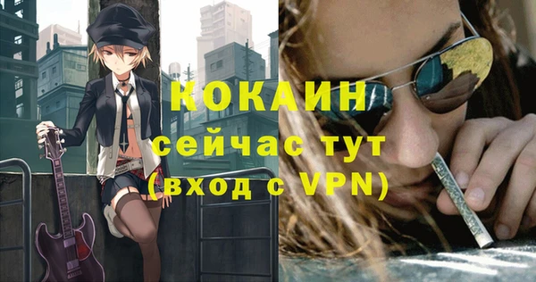 соль ск Алексин