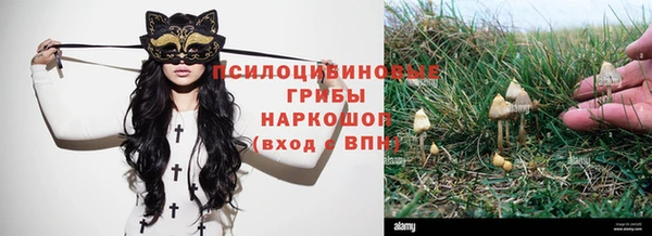 марки nbome Алзамай